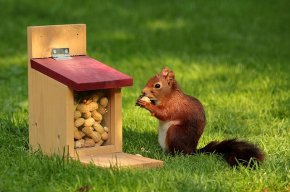 gallery/animal-927904_640